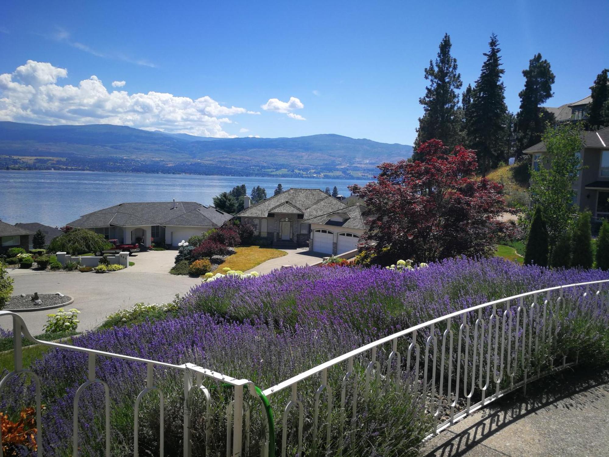 Casa Grande Lakeview House West Kelowna Rum bild